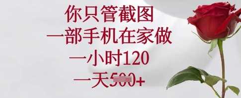 你只管截图，一部手机在家做，一小时120.一天5张【揭秘】-立业有术