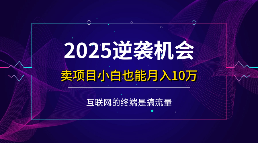 （14122期）项目标题：2025逆袭机会，卖项目小白也能轻松月入10万+-立业有术