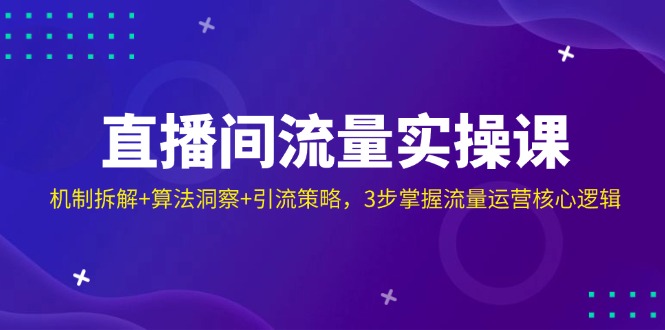 （14122期）直播间流量实操课：机制拆解+算法洞察+引流策略，3步掌握流量运营核心逻辑-立业有术