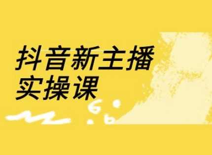 抖音新主播实操课，直播间流量运营线上实操课(18节)-立业有术
