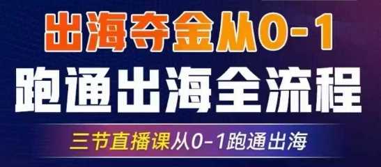 2025出海夺金从0-1跑通出海全流程，三节直播课从0-1跑通出海，教你用AI跑通全流程-立业有术
