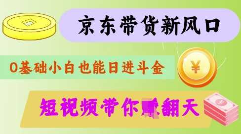 最新京东短视频带货代运营秘籍，轻松躺挣【揭秘】-立业有术