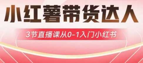 小红薯达人带货启航计划，3节直播课从0-1入门小红书-立业有术