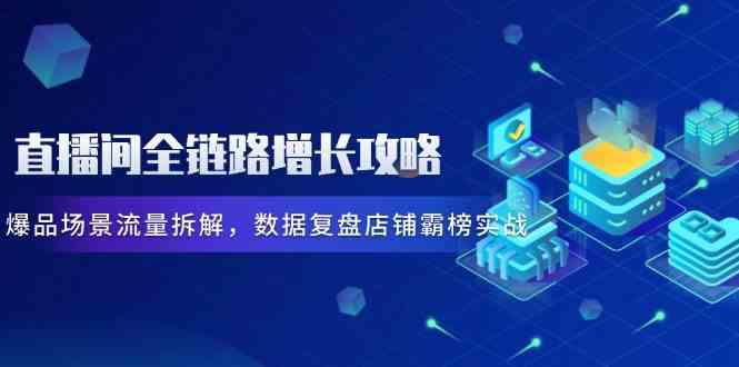 直播间全链路增长攻略，爆品场景流量拆解，数据复盘店铺霸榜实战-立业有术