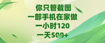 你只管截图，一部手机在家做，苹果安卓都可以，一天5张+【揭秘】-立业有术