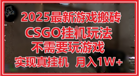 2025最新游戏搬砖，CSGO挂G，不需要玩游戏，实现真挂G，月入1W+【揭秘】-立业有术