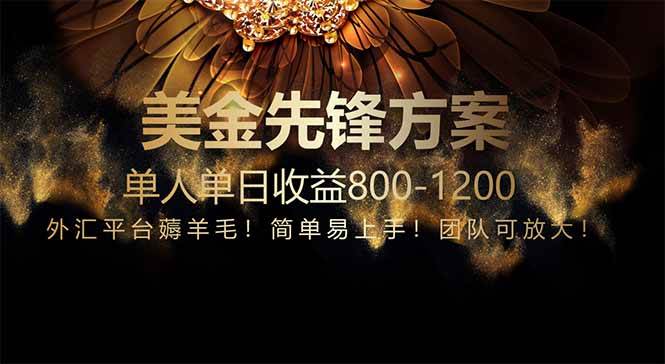 （14761期）免费技术！小众赛道！一年布局抵三年努力，每日800+-立业有术