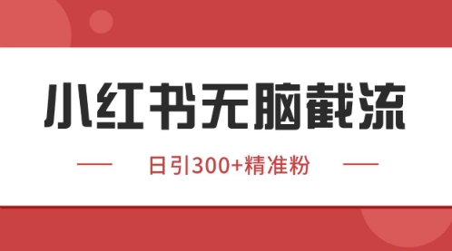小红书只要你有同行就能获客，独家野路子获客玩法，暴力截流【揭秘】-立业有术