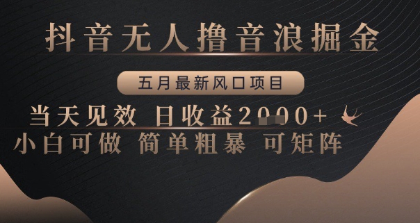 抖音无人撸音浪掘金，五月最新风口项目，当天见效，日收益多张，小白可做简单粗暴可矩阵【揭秘】-立业有术