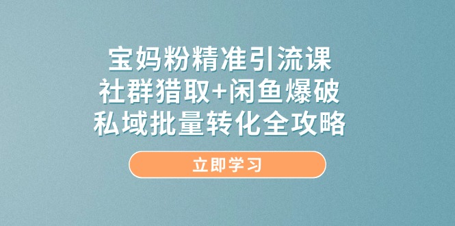 （14820期）宝妈粉精准引流课，社群猎取+闲鱼爆破，私域批量转化全攻略-立业有术
