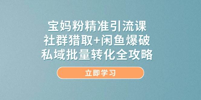 宝妈粉精准引流课，社群猎取+闲鱼爆破，私域批量转化全攻略-立业有术