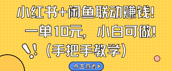 小红书+闲鱼联动挣钱，一单10元，小白可做-立业有术