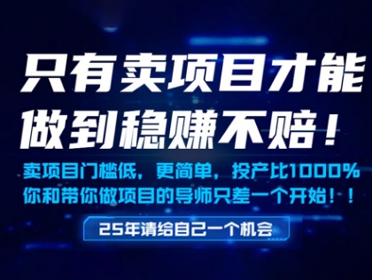 只有卖项目才能做到稳挣不赔，门槛低，更简单，你也可以年入百个W【揭秘】-立业有术