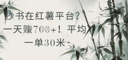 抄书在小红薯平台？平均一单30米，一天收益几张！-立业有术