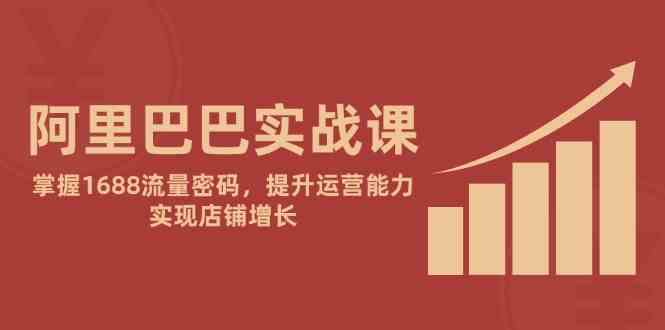 阿里巴巴实战课：掌握1688流量密码，提升运营能力，实现店铺增长-立业有术