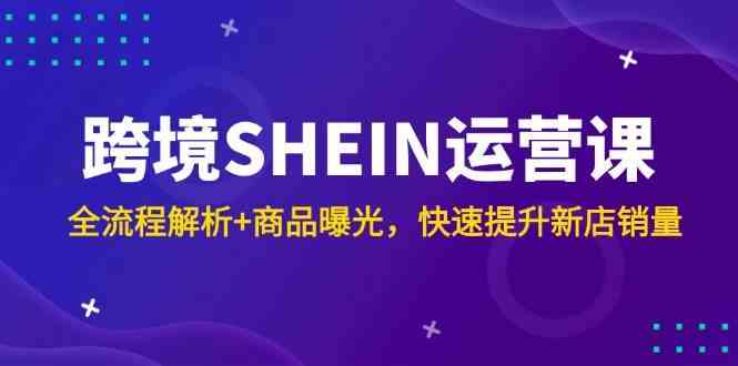 跨境SHEIN运营课，全流程解析+商品曝光，快速提升新店销量-立业有术