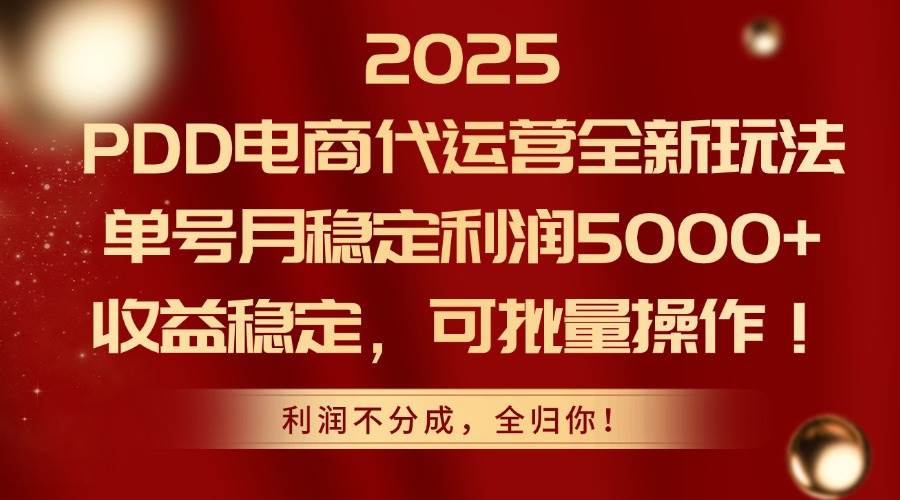 （14839期）2025PDD电商代运营全新玩法，单号月稳定利润5000+，收益稳定，可批量操作-立业有术