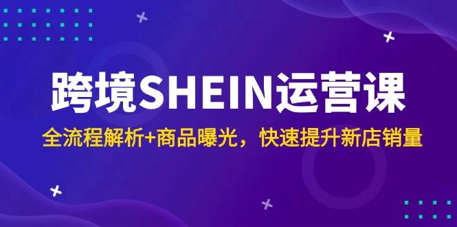（14832期）跨境SHEIN运营课，全流程解析+商品曝光，快速提升新店销量-立业有术
