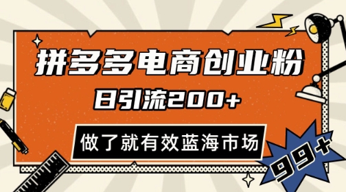 拼多多引流电商创业粉，日引200+，可矩阵放大，做了就有效【揭秘】-立业有术