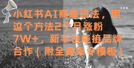 小红书AI商单玩法，用这个方法2个月涨粉7W+，新手也能接品牌合作(附全套指令模板)-立业有术