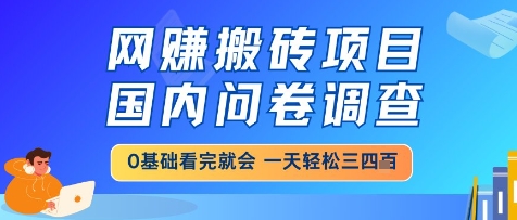 网创搬砖项目，国内问卷调查，小白轻松上手，一天三四张的也不难，干就完了【揭秘】-立业有术