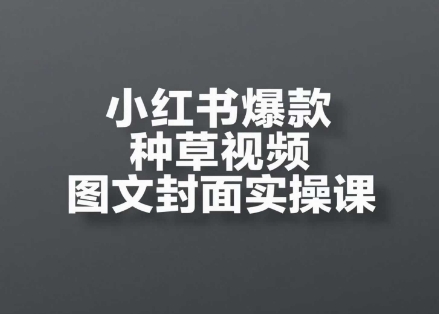 小红书爆款种草视频图文封面实操课，​开店、选品、引流、变现全流程-立业有术