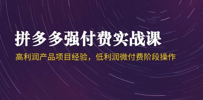 （14874期）拼多多强付费实战课-44期，高利润产品项目经验，低利润微付费阶段操作-立业有术