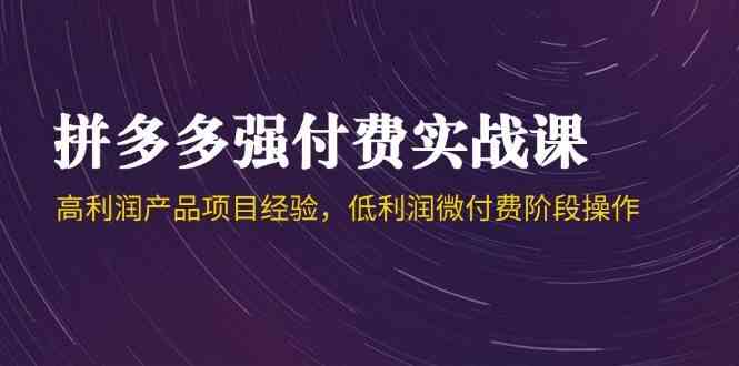 拼多多强付费实战课-44期，高利润产品项目经验，低利润微付费阶段操作-立业有术