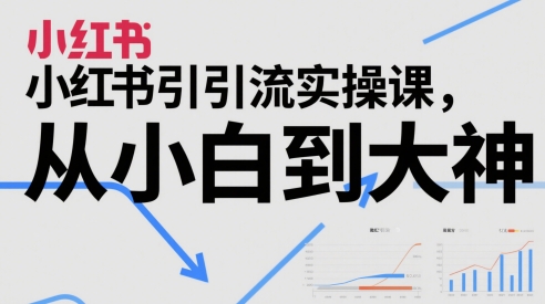 小红书引流实操课，从小白到大神-立业有术