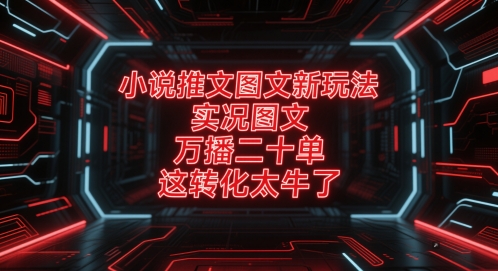 小说推文图文新玩法，实况图文，万播二十单，这转化太牛了！-立业有术