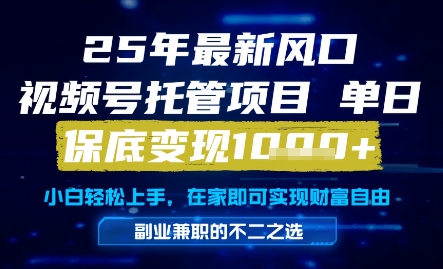 25年最新风口，视频号托管项目，单日保底变现1k+，手把手教学【揭秘】-立业有术