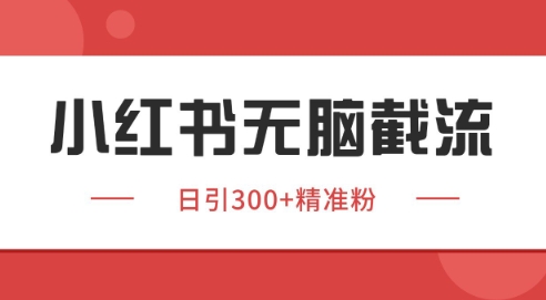 小红书截流同行客源，独家野路子获客玩法 日引200+暴力获客【揭秘】-立业有术