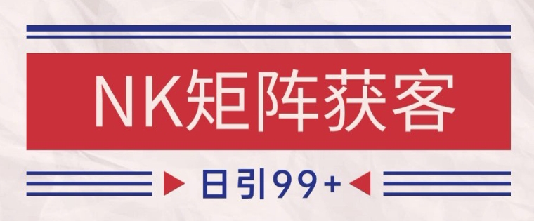 小红书某音NK赛道引流获客 自热矩阵日引200+【揭秘】-立业有术
