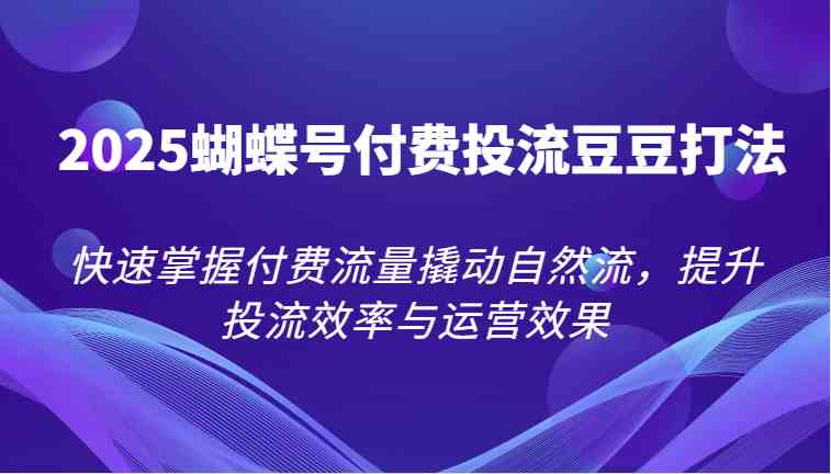 2025蝴蝶号付费投流豆豆打法，快速掌握付费流量撬动自然流，提升投流效率与运营效果-立业有术