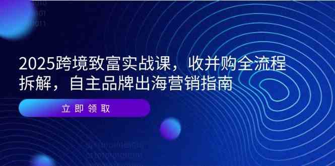 2025跨境致富实战课，收并购全流程拆解，自主品牌出海营销指南-立业有术