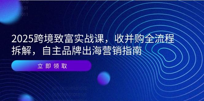 （14975期）2025跨境致富实战课，收并购全流程拆解，自主品牌出海营销指南-立业有术