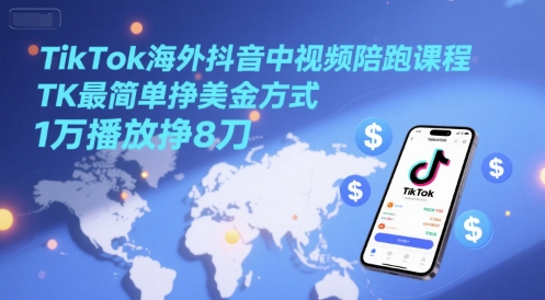 TikTok海外抖音中视频陪跑课程，TK最简单挣美金方式，1万播放挣8刀-立业有术