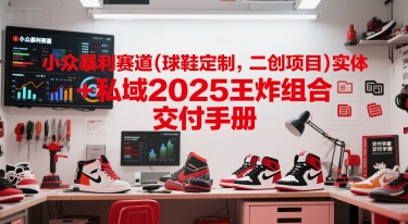小众暴利赛道(球鞋定制，二创项目)实体+私域2025王炸组合  交付手册-立业有术