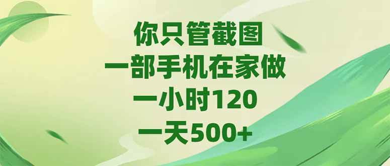 （15039期）你只管截图，一部手机在家做，一小时120，-天500+-立业有术