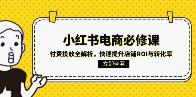 小红书电商必修课：付费投放全解析，快速提升店铺ROI与转化率-立业有术