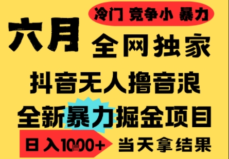 25年6月高爆抖音无人直播最新撸音浪掘金项目，小白可做，无脑日入1k+，门槛低可批量矩阵【揭秘】-立业有术