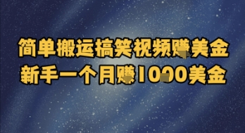简单搬运搞笑视频挣美金，新手一个月入1k美金-立业有术