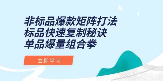 非标品爆款矩阵打法，标品快速复制秘诀，单品爆量组合拳-立业有术
