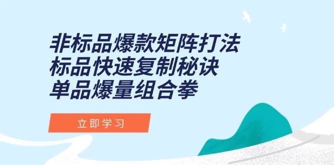 （15068期）非标品爆款矩阵打法，标品快速复制秘诀，单品爆量组合拳-立业有术