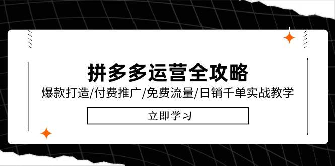 （15085期）拼多多运营全攻略，爆款打造/付费推广/免费流量/日销千单实战教学/6月更新-立业有术
