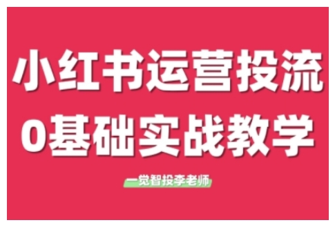 小红书运营投流，小红书广告投放从0到1的实战课，学完即可开始投放（更新）-立业有术