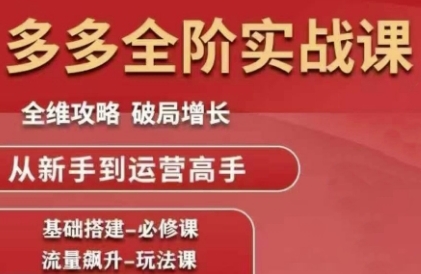 拼多多全阶实战课程，全维攻略，破局增长，从新手到运营高手-立业有术
