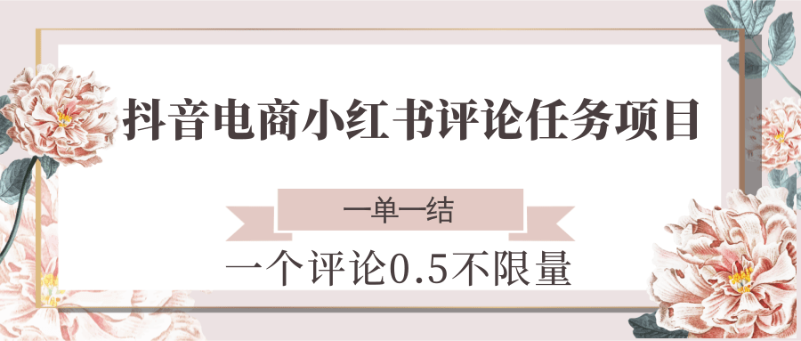 抖音电商小红书评论任务项目，一个评论0.5，一单一结 不限量-立业有术