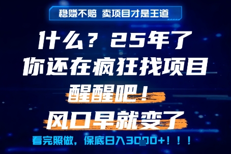 什么？25年你还在疯狂找项目做，醒醒吧，看完这些你全都懂了！【揭秘】-立业有术