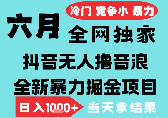 2025年6月高爆抖音无人直播最新撸音浪掘金项目，无脑日入1k+，低门槛小白可做，可矩阵放大【揭秘】-立业有术